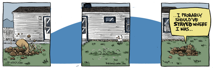Bob the Squirrel by Frank Page on Mon, 09 Jun 2025