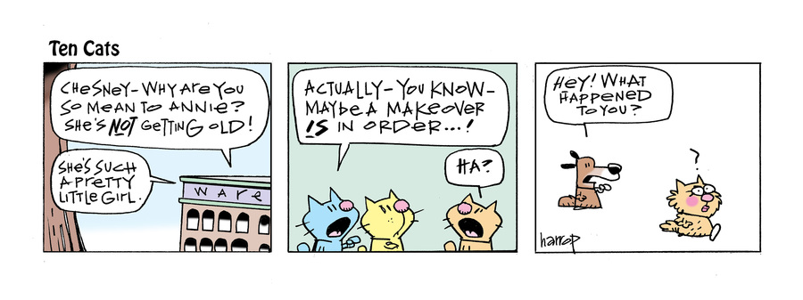 Ten Cats by Graham Harrop on Mon, 05 May 2025