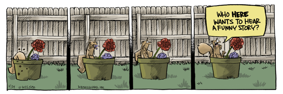 Bob the Squirrel by Frank Page on Sat, 24 May 2025