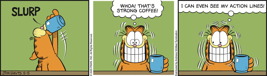 Garfield by Jim Davis on Mon, 05 May 2025
