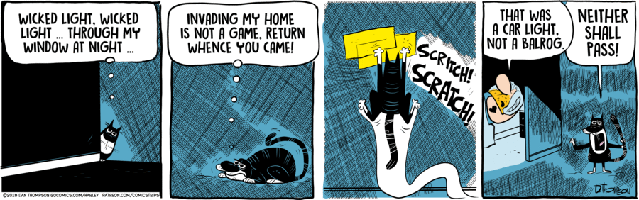 Harley by Dan Thompson on Fri, 23 May 2025