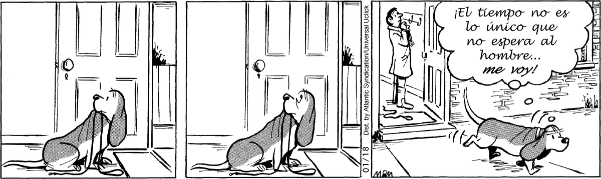 Fred Basset en Español by Alex Graham on Thu, 01 May 2025