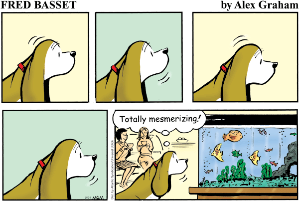 Fred Basset en Español by Alex Graham on Wed, 04 Jun 2025