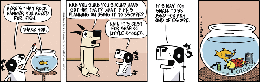 Pooch Cafe by Paul Gilligan on Thu, 12 Jun 2025
