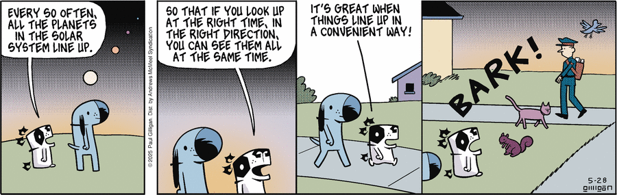 Pooch Cafe by Paul Gilligan on Wed, 28 May 2025