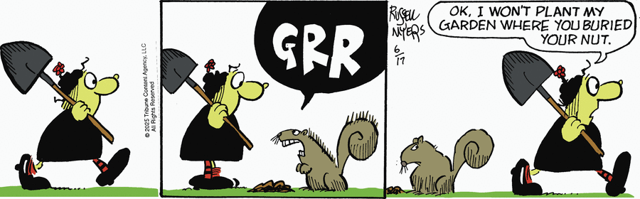 Broom Hilda by Russell Myers on Tue, 17 Jun 2025