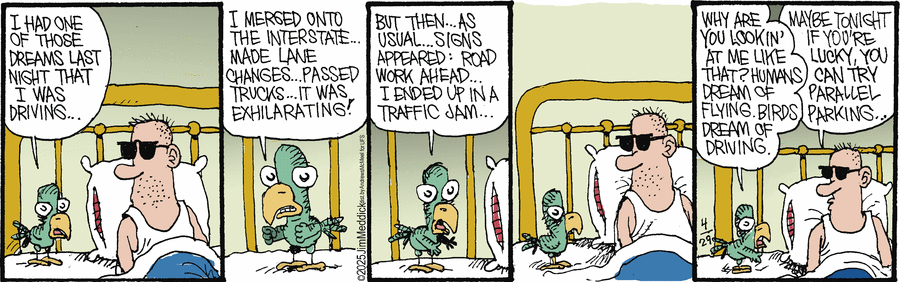 Monty by Jim Meddick  on Tue, 29 Apr 2025
