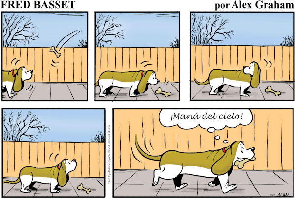 Fred Basset en Español by Alex Graham on Wed, 07 May 2025