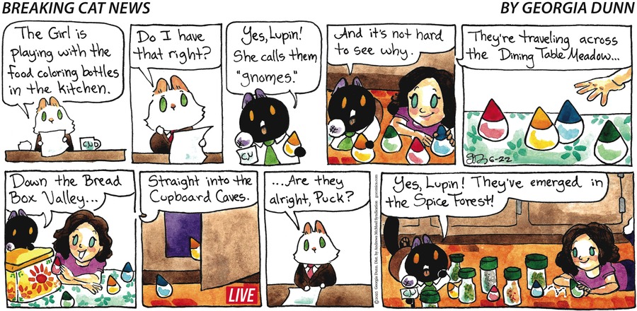 Breaking Cat News by Georgia Dunn on Sun, 22 Jun 2025