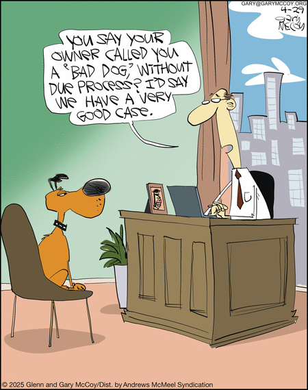 The Flying McCoys by Gary McCoy and Glenn McCoy on Tue, 29 Apr 2025