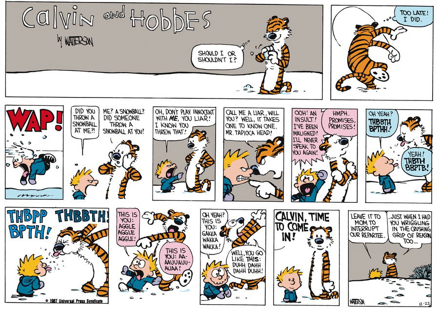 Calvin and Hobbes 洋書 コミック The Essential Calvin and Hobbes: A Calvin and Hobbes