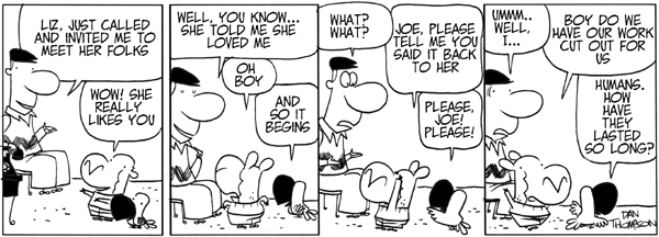 Lost Sheep by Dan Thompson on Mon, 16 Jun 2025