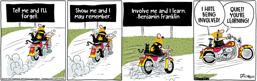 Harley by Dan Thompson on Tue, 17 Jun 2025