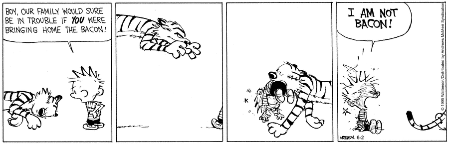 Calvin and Hobbes by Bill Watterson on Mon, 02 Jun 2025