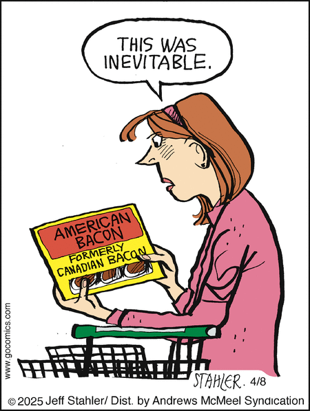 Moderately Confused by Jeff Stahler  on Tue, 08 Apr 2025