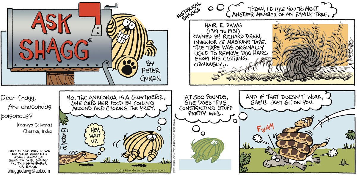 Ask Shagg by Peter Guren on Sun, 20 Apr 2025