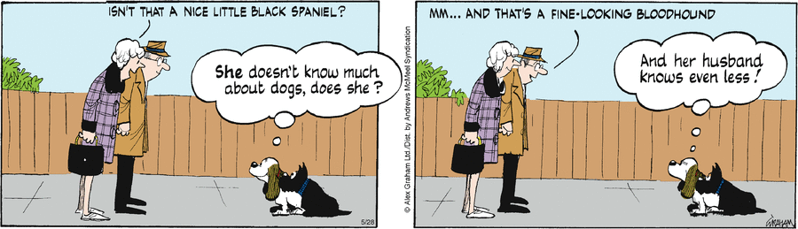 Fred Basset by Alex Graham on Wed, 28 May 2025