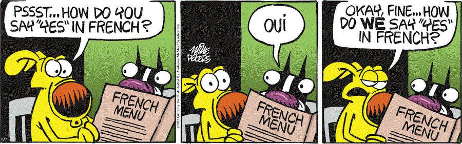 5fa9410091ba013eb772005056a9545d