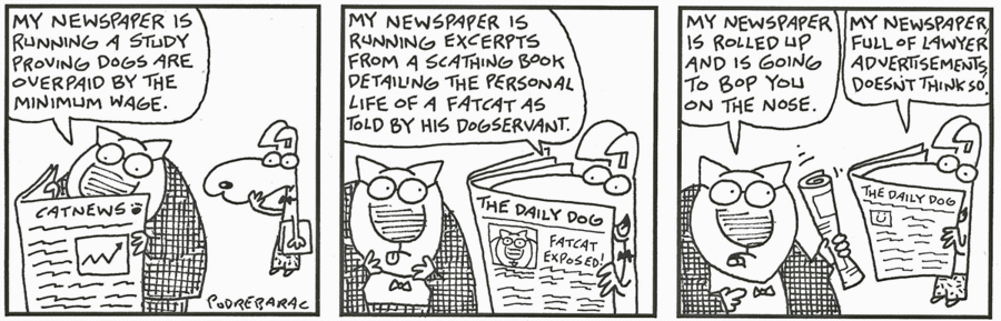 Fat Cats by Charlie Podrebarac on Sat, 31 May 2025
