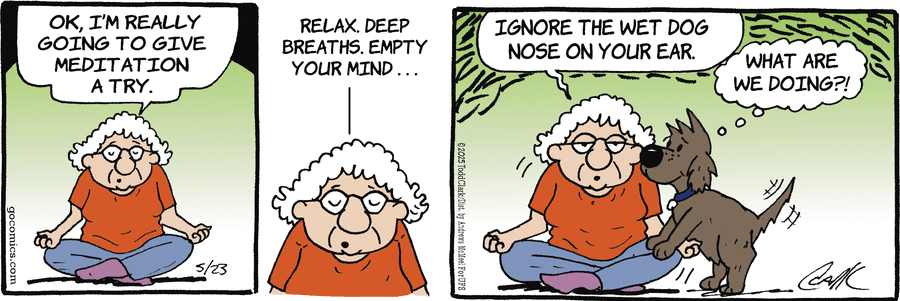 Lola by Todd Clark on Fri, 23 May 2025