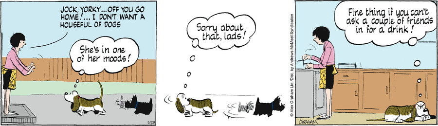 Fred Basset by Alex Graham on Thu, 29 May 2025