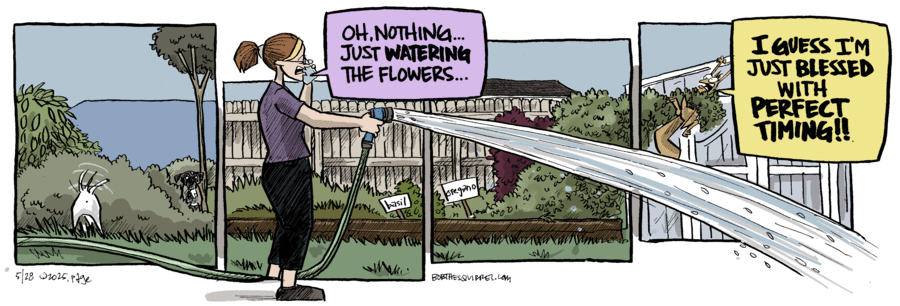 Bob the Squirrel by Frank Page on Wed, 28 May 2025