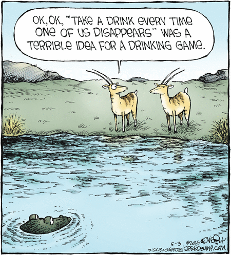 Speed Bump by Dave Coverly on Sat, 03 May 2025
