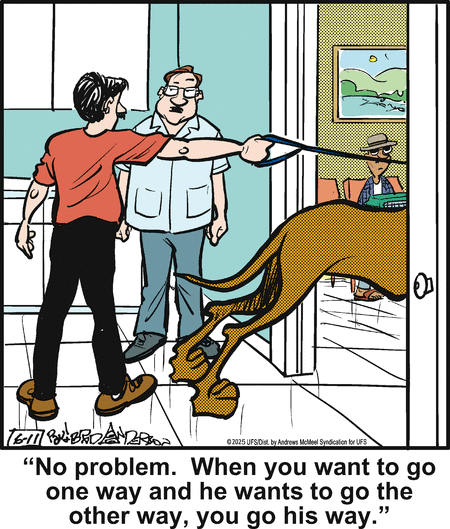 Marmaduke by Brad Anderson on Wed, 11 Jun 2025