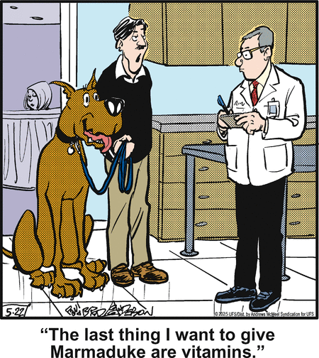 Marmaduke by Brad Anderson on Thu, 22 May 2025