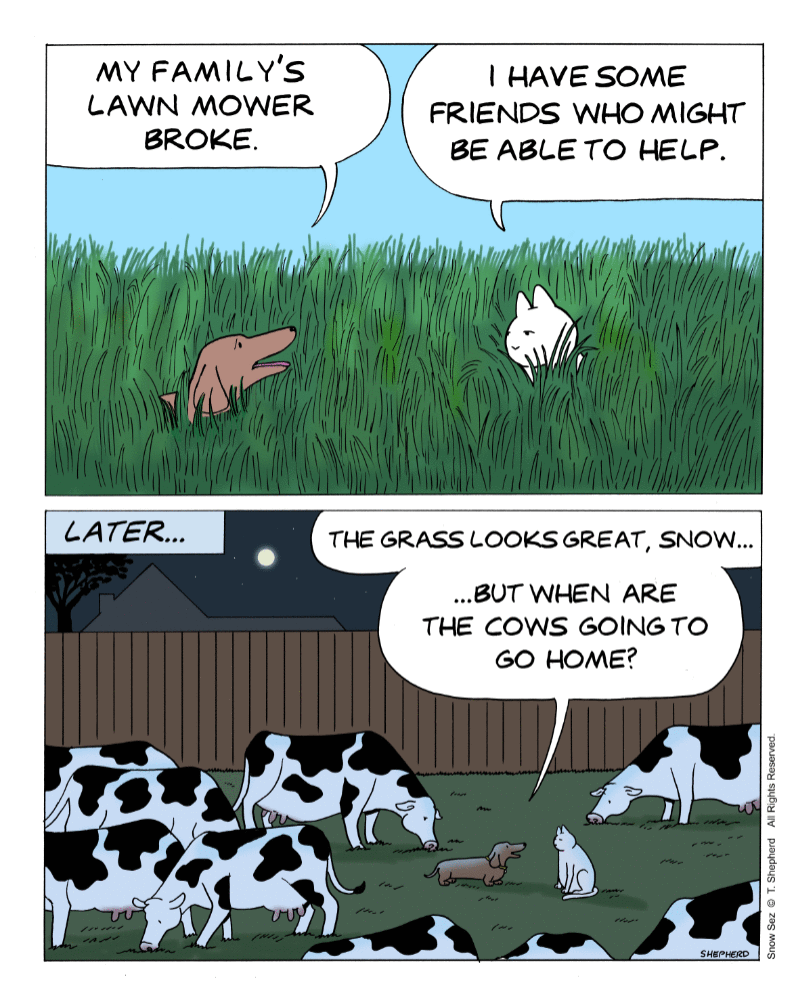 Snow Sez... by T. Shepherd