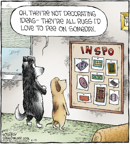 Speed Bump by Dave Coverly