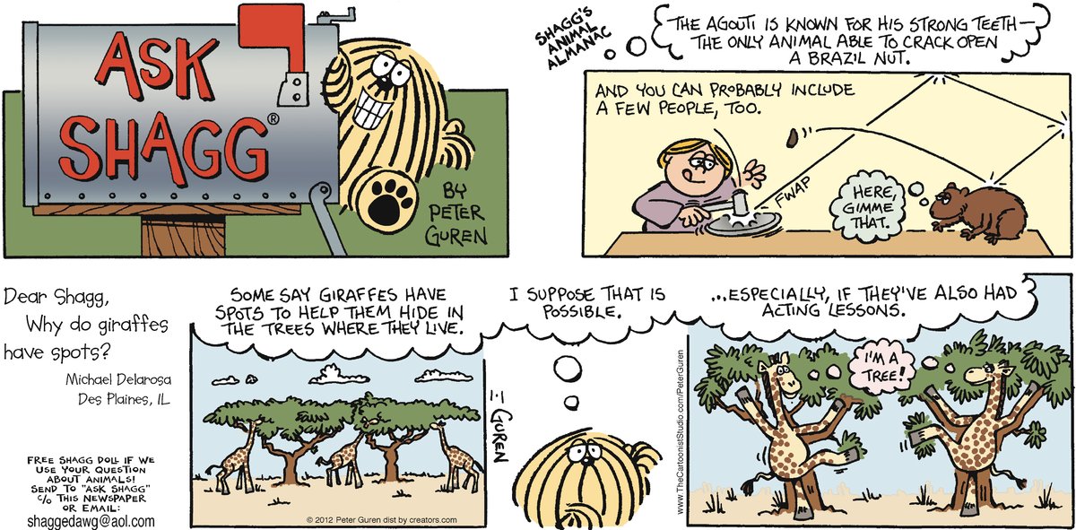 Ask Shagg by Peter Guren on Sun, 13 Apr 2025