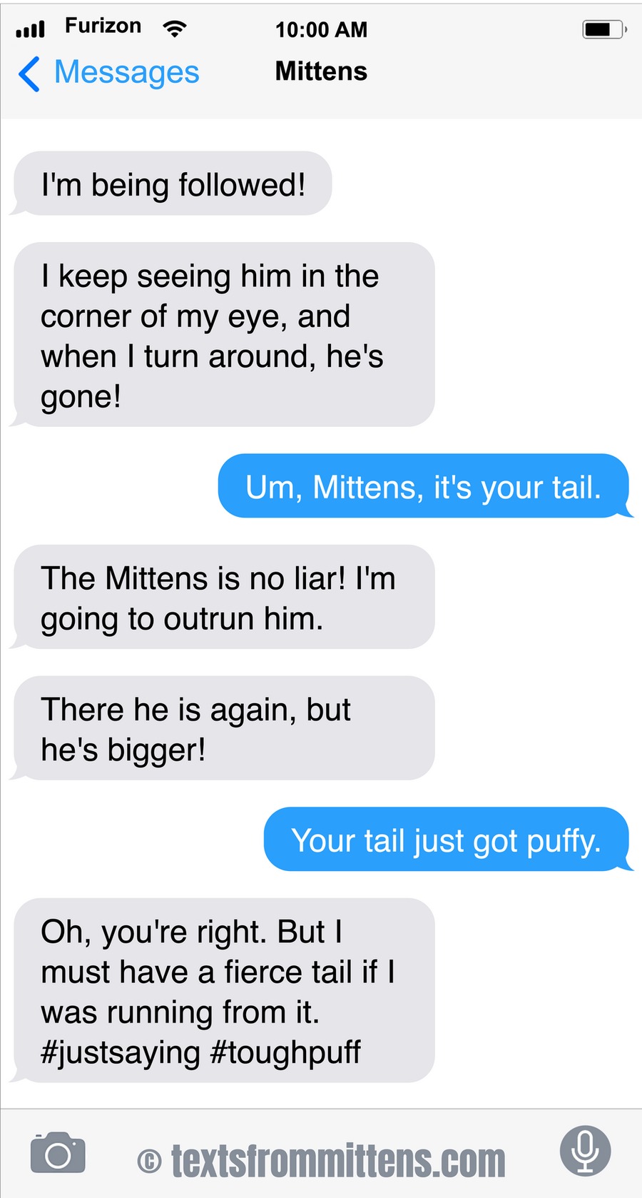 Texts From Mittens by Angie Bailey on Sun, 01 Jun 2025