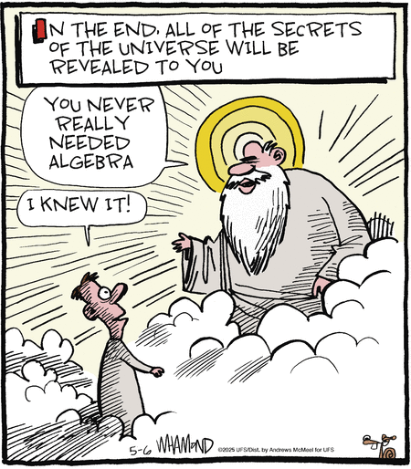 Reality Check by Dave Whamond  on Tue, 06 May 2025