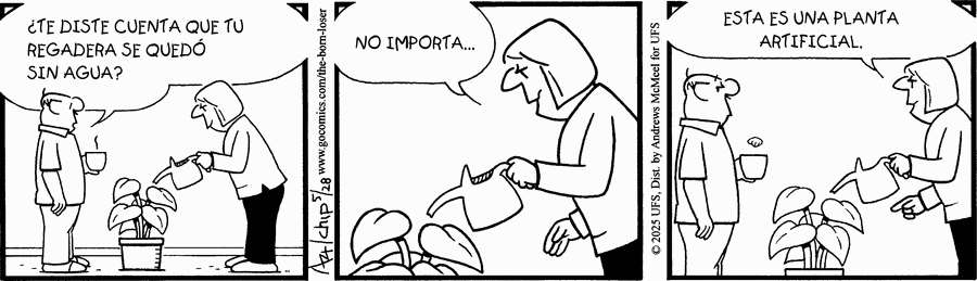 Don Brutus by Chip Sansom on Wed, 28 May 2025