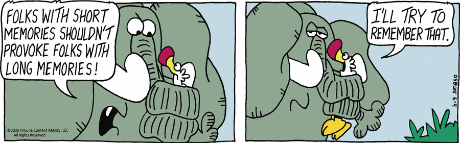 Animal Crackers by Mike Osbun on Wed, 04 Jun 2025