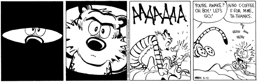 Calvin and Hobbes by Bill Watterson on Fri, 13 Jun 2025