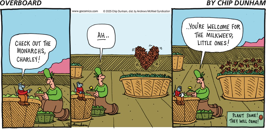 Overboard by Chip Dunham on Sun, 01 Jun 2025