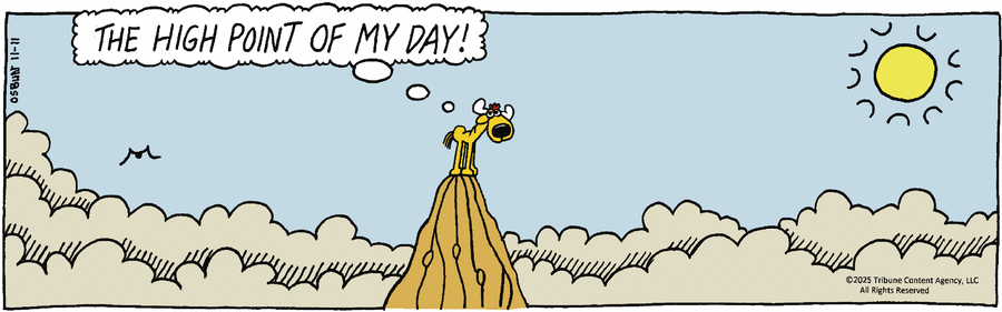 6eac7970963f013eb772005056a9545d