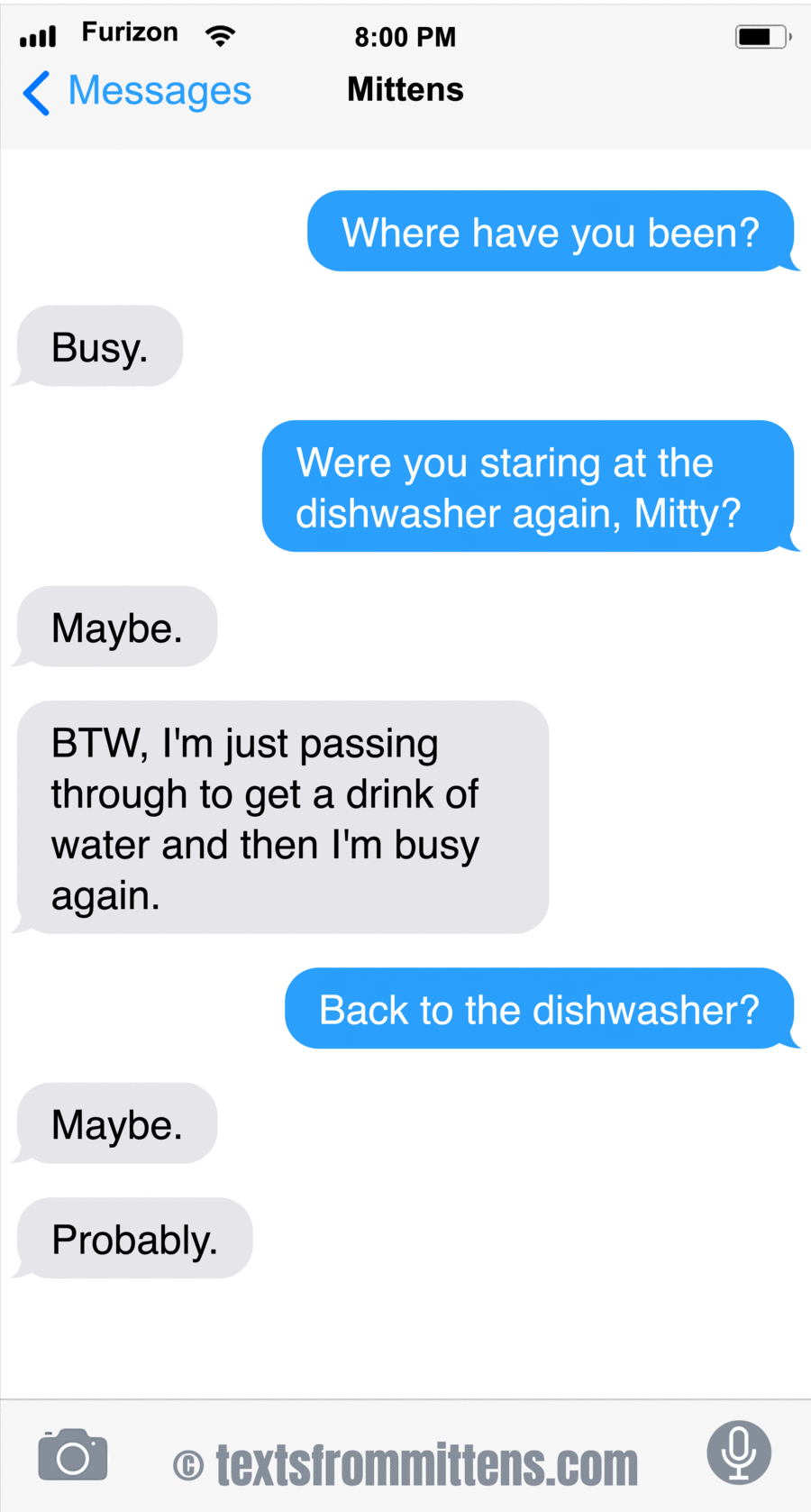 Texts From Mittens by Angie Bailey