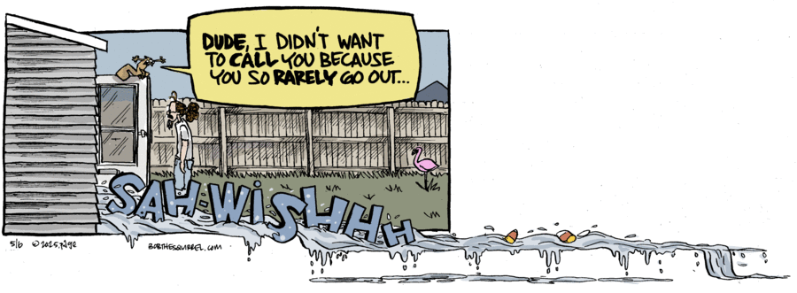 Bob the Squirrel by Frank Page on Tue, 06 May 2025