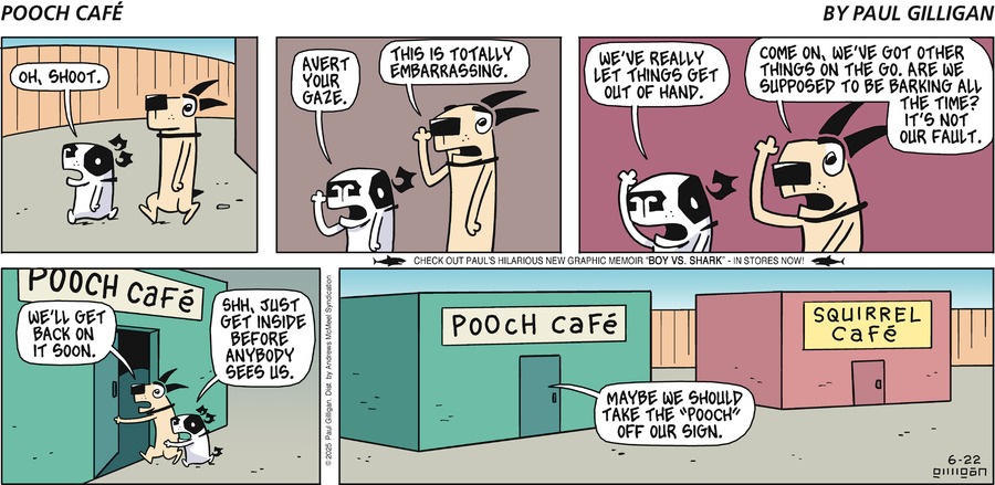 Pooch Cafe by Paul Gilligan on Sun, 22 Jun 2025