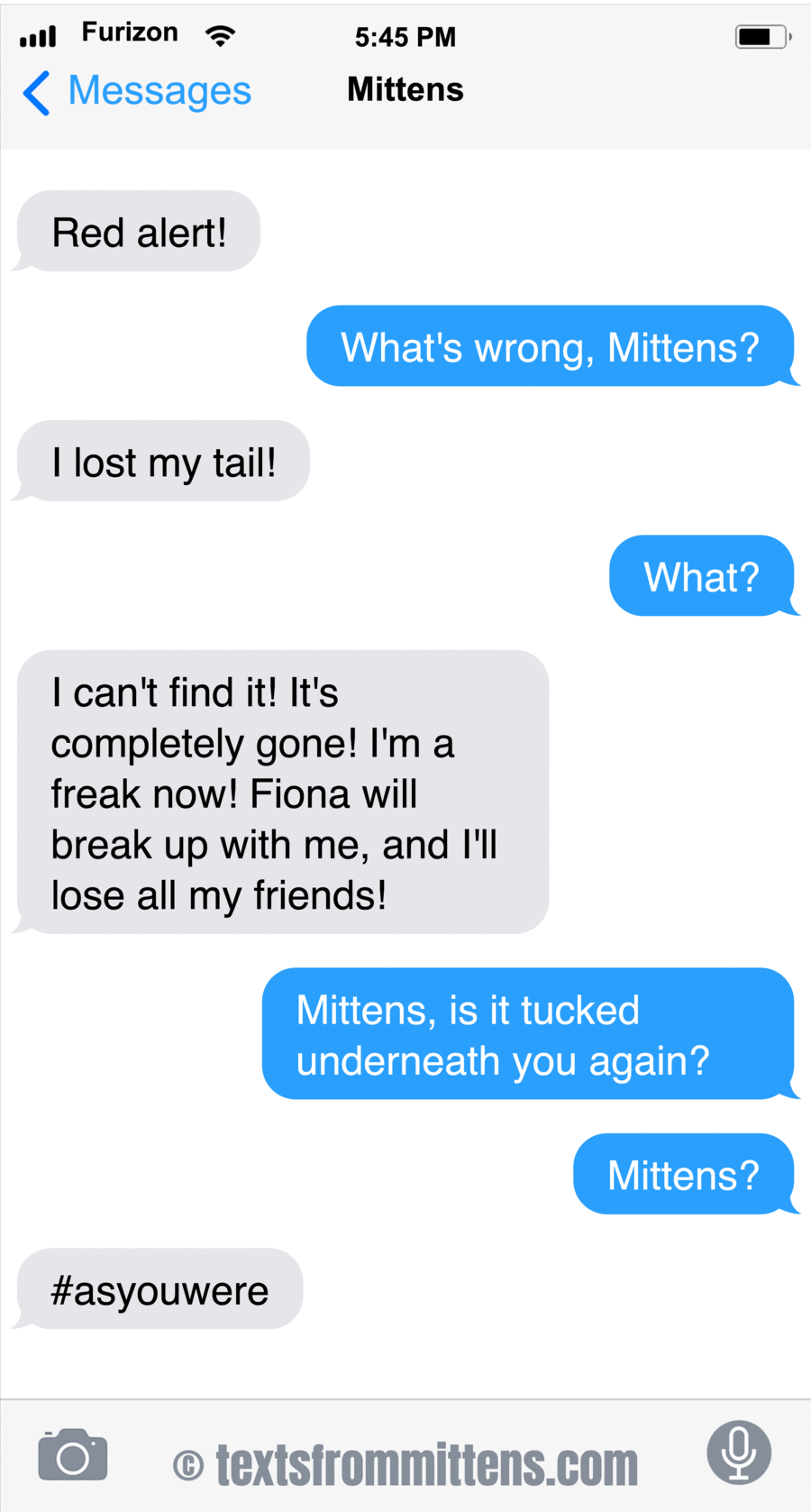 Texts From Mittens by Angie Bailey on Wed, 04 Jun 2025