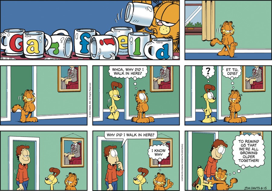 Garfield by Jim Davis on Sun, 15 Jun 2025