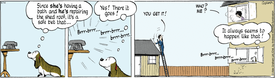 Fred Basset by Alex Graham on Sat, 14 Jun 2025