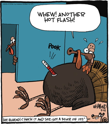Reality Check by Dave Whamond  on Sat, 24 May 2025