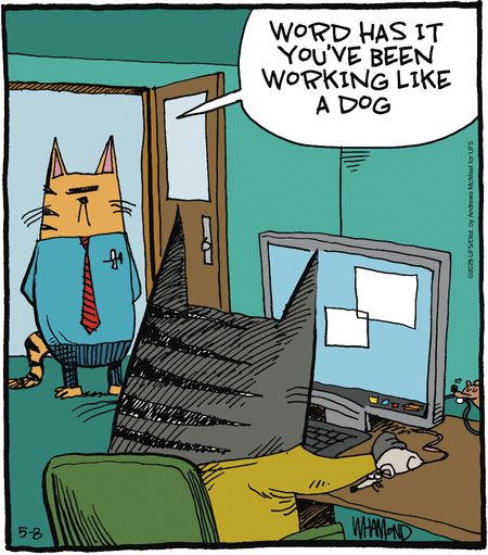 Reality Check by Dave Whamond