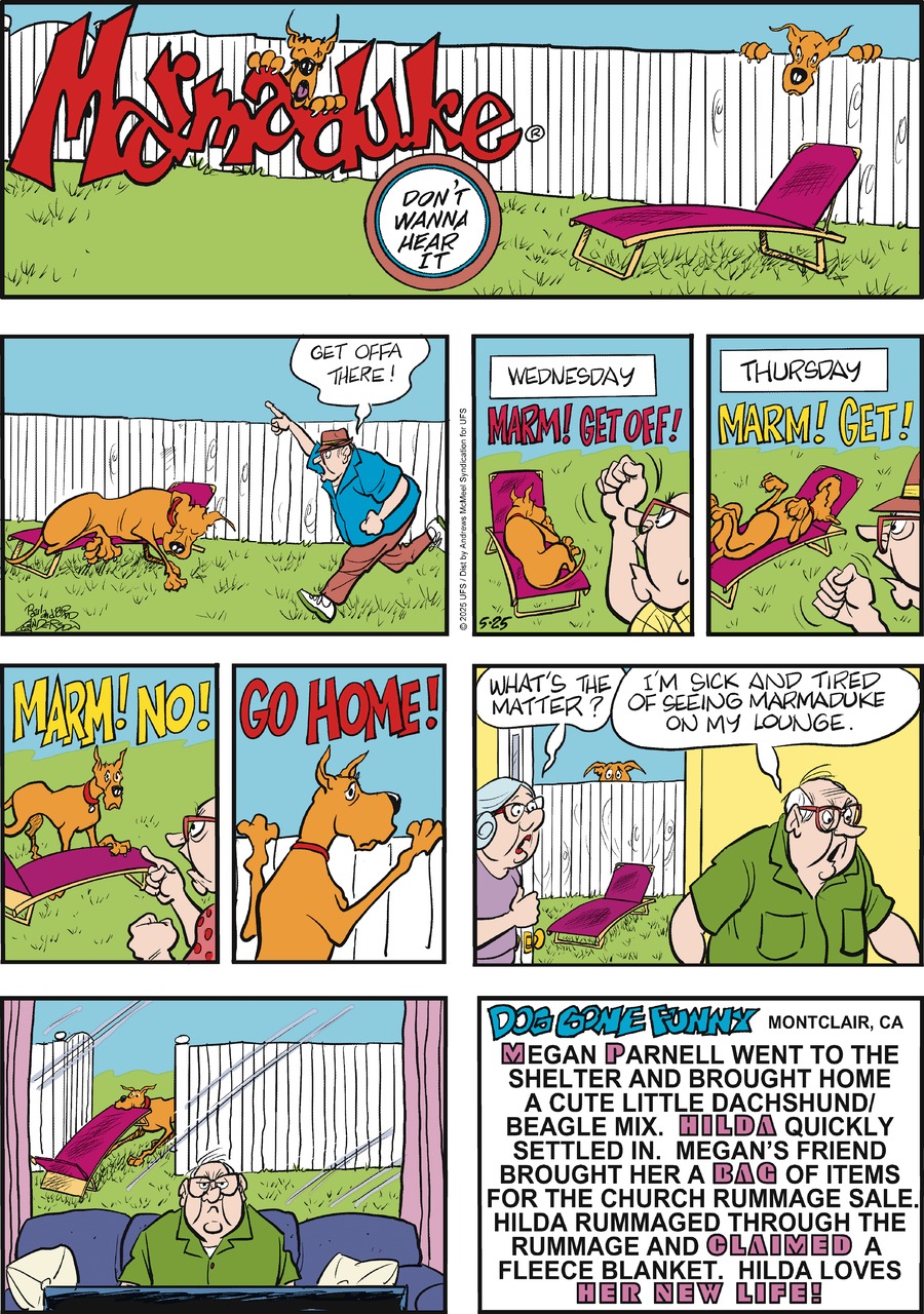 Marmaduke by Brad Anderson on Sun, 25 May 2025