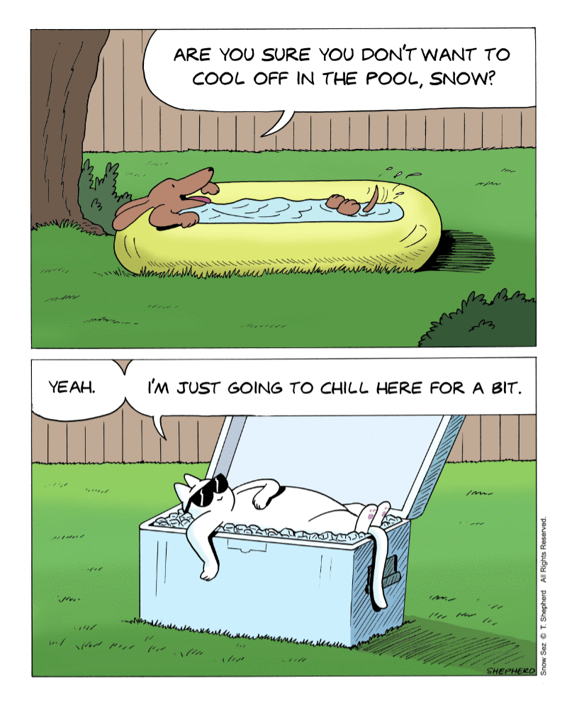 Snow Sez by T. Shepherd on Mon, 23 Jun 2025