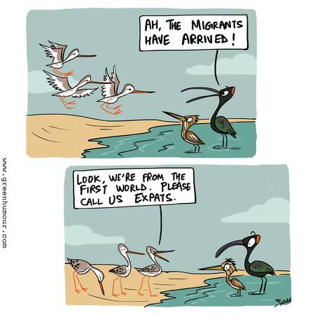 Green Humour by Rohan Chakravarty